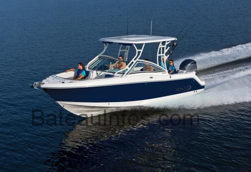 Robalo 247 fiche technique et avis